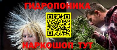 mix Бийск