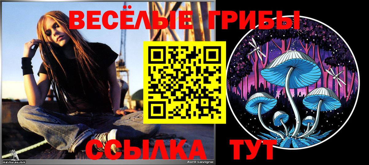 Галлюциногенные грибы MAGIC MUSHROOMS  Вход с VPN  Псилоцибиновые грибы Psilocybe  Киров 